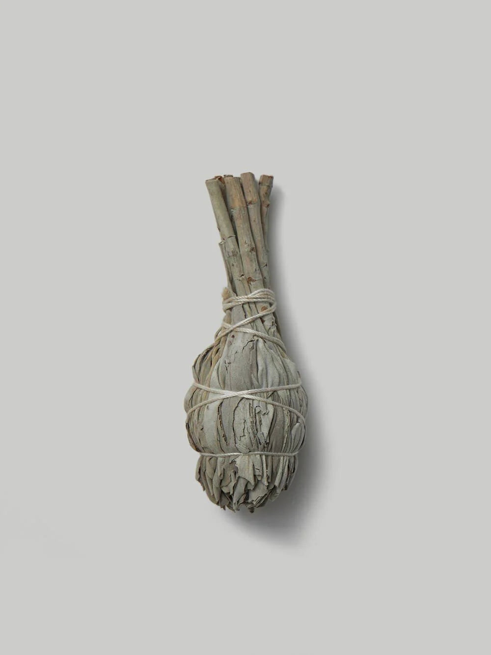 Wild White Sage | Small