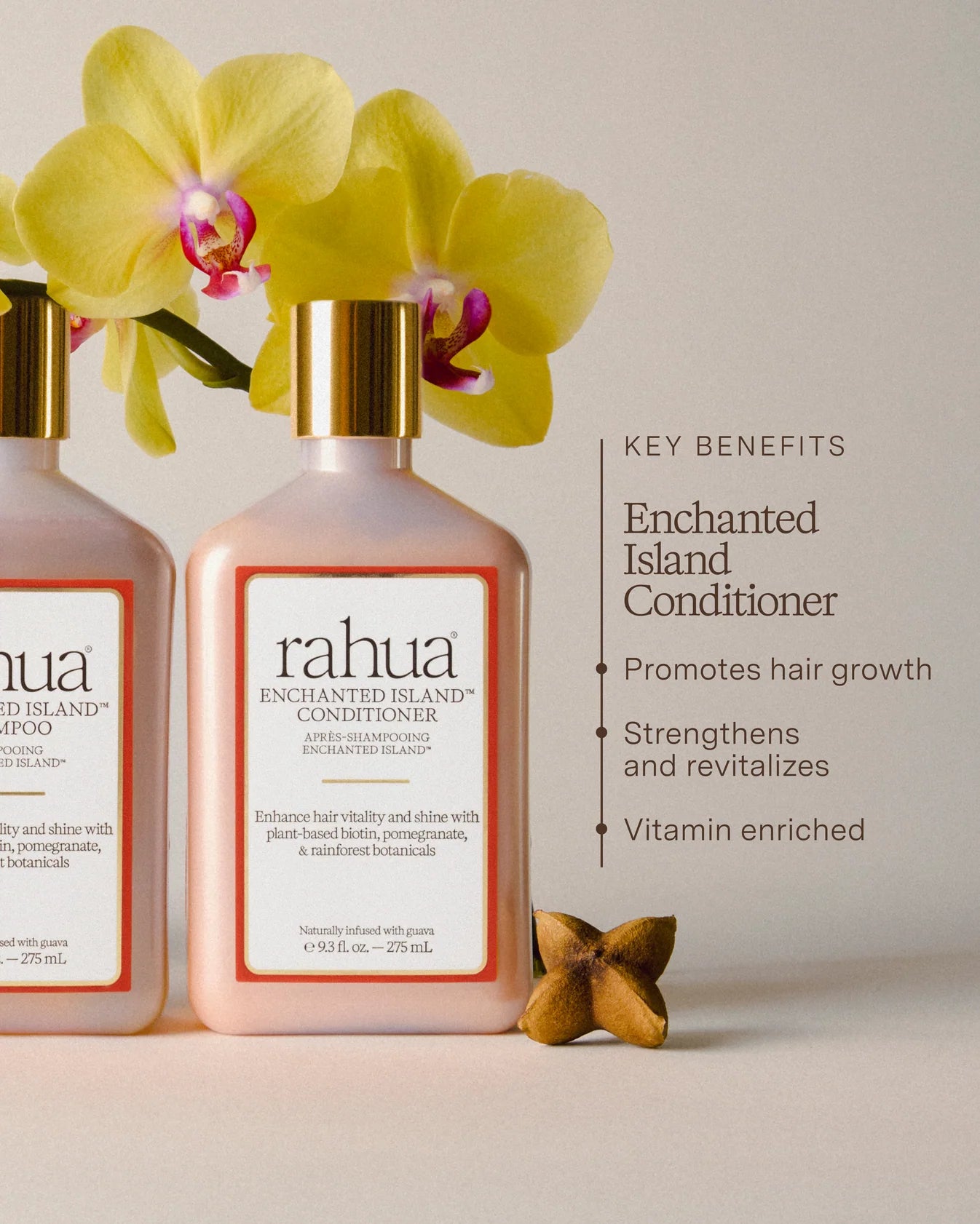 Enchanted Island Conditioner
