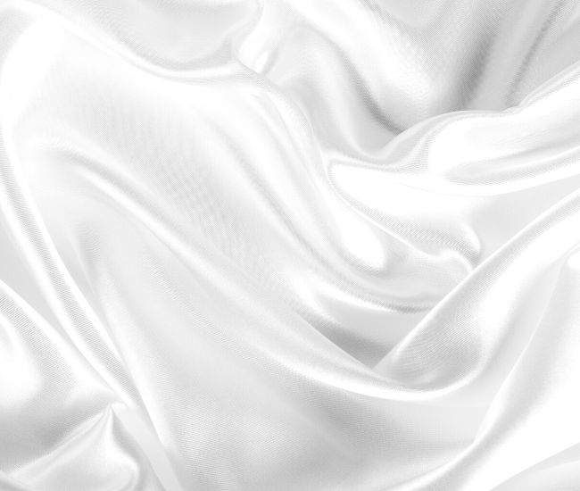 Mulberry Silk Pillow Case