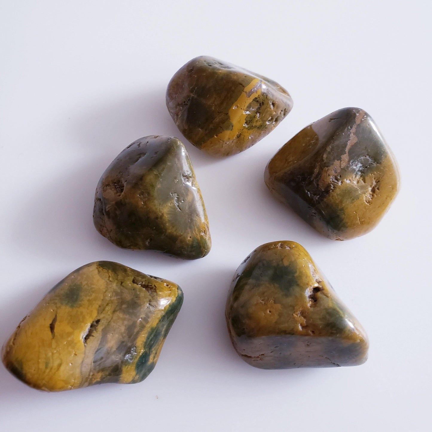 Orbicular Jasper - The 889 Shop