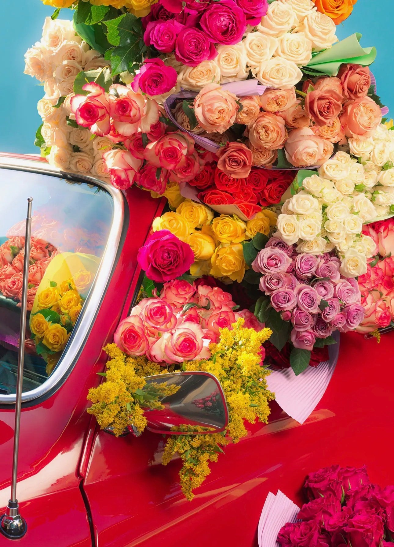 Coming Up Roses | 1000 Pieces