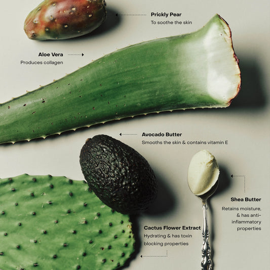 WIRED | The Body Exfoliant