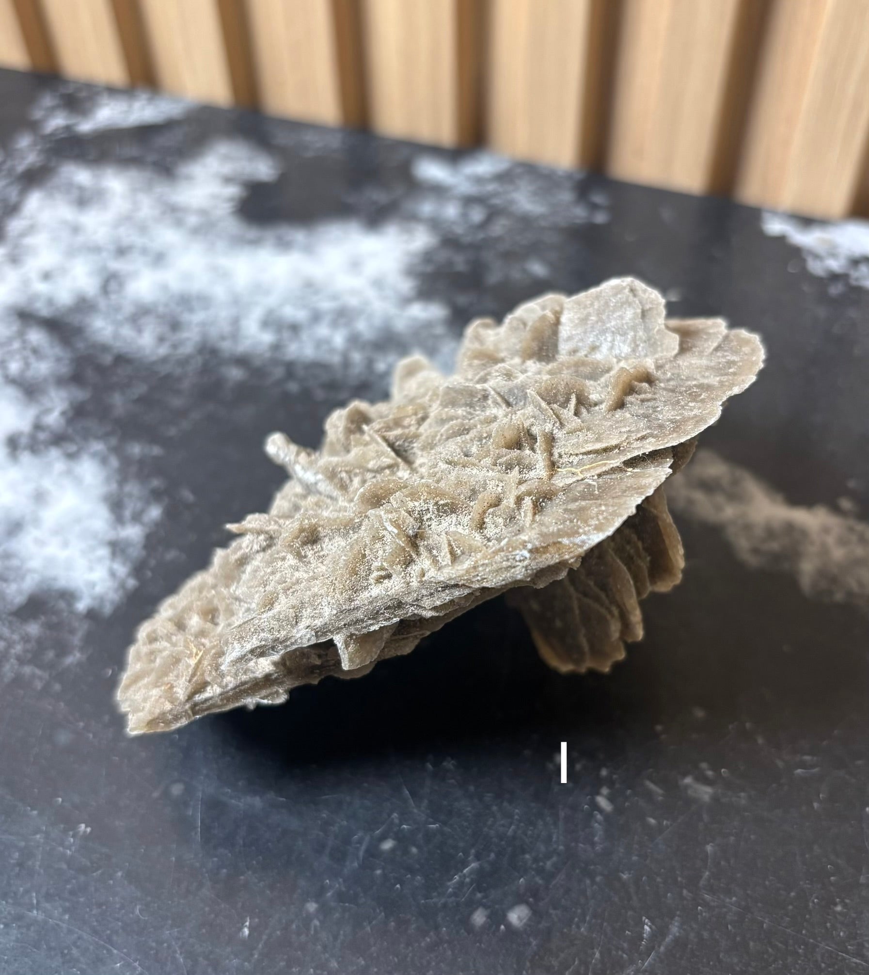 Elephant Ear Selenite