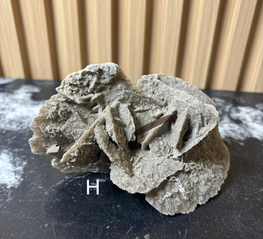 Elephant Ear Selenite