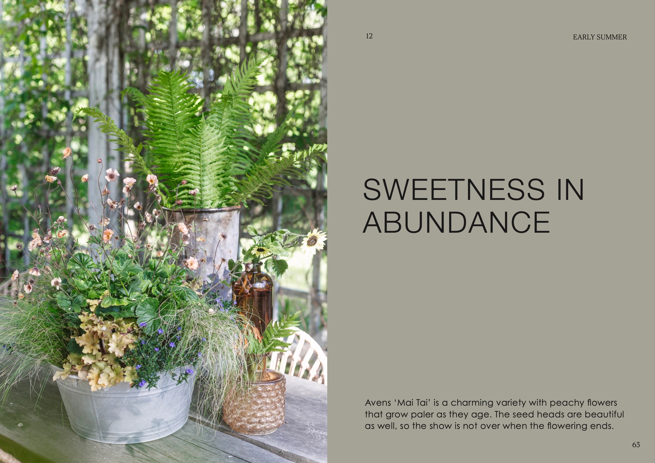 The Potted Garden | All Year Round