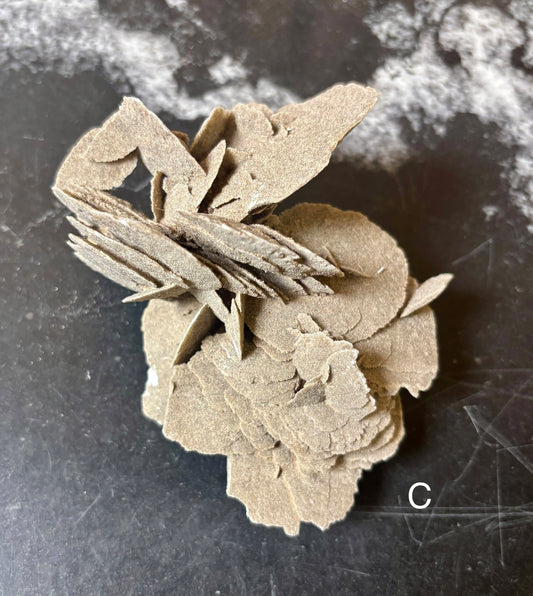 Elephant Ear Selenite