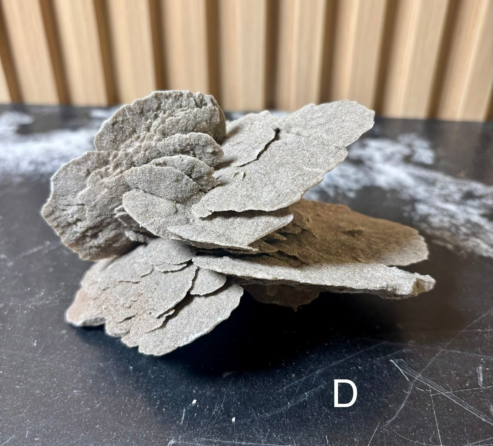 Elephant Ear Selenite