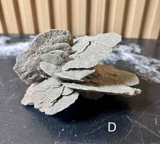 Elephant Ear Selenite