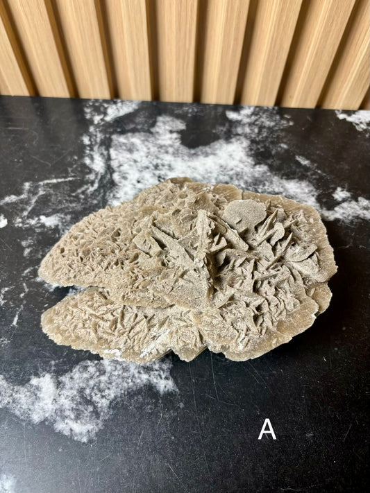 Elephant Ear Selenite