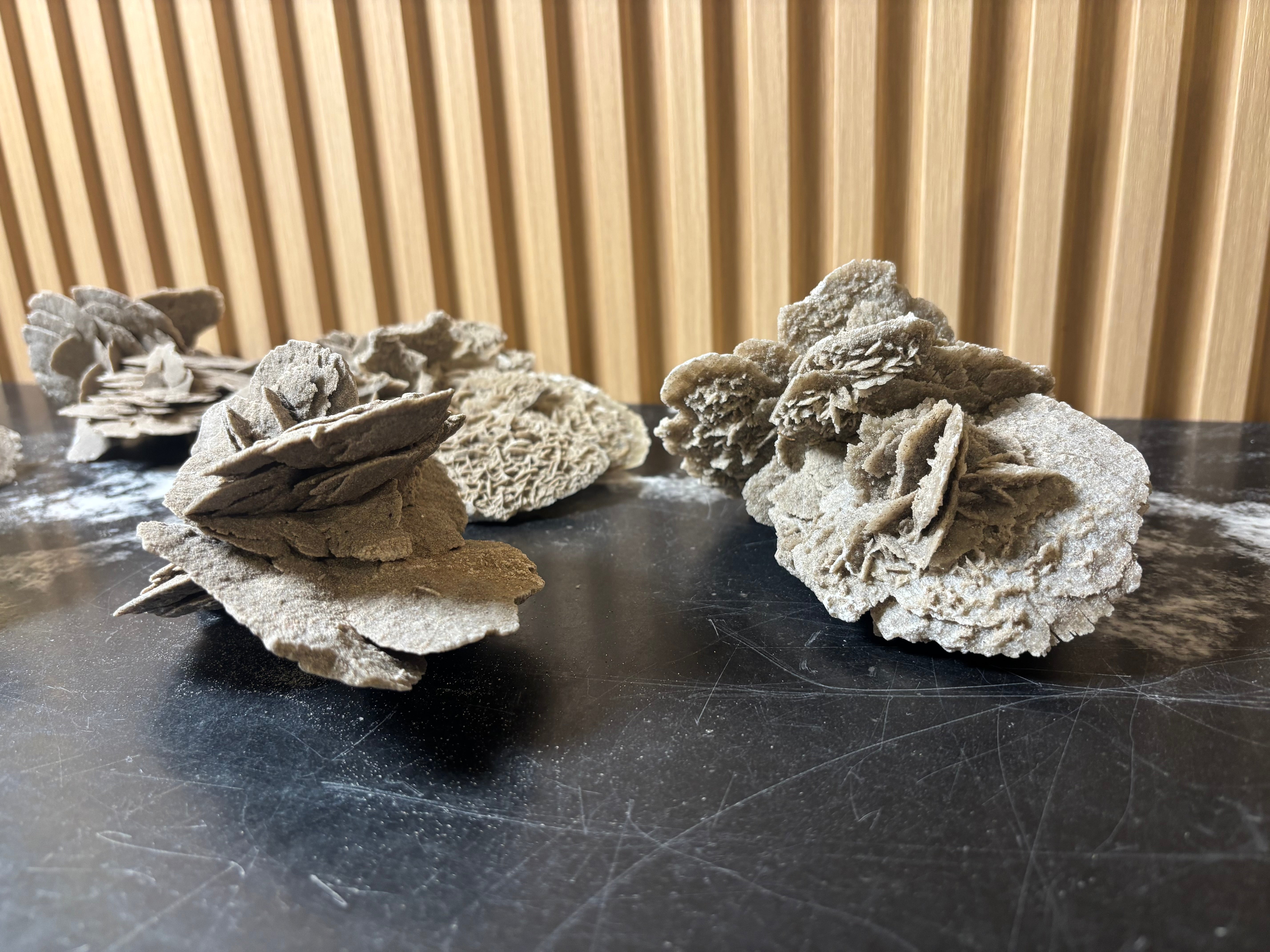 Elephant Ear Selenite