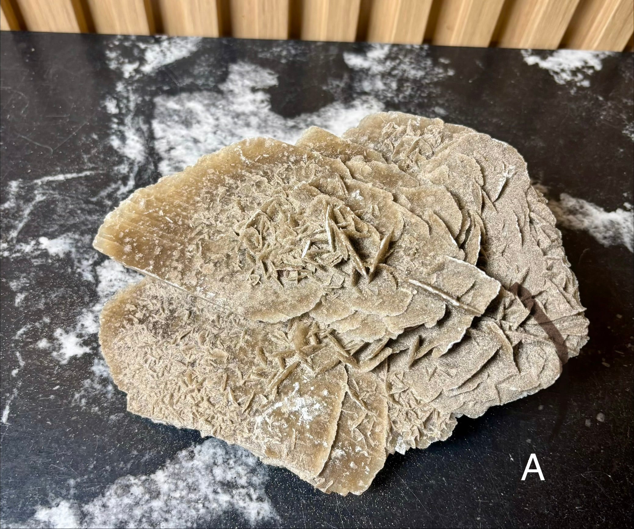 Elephant Ear Selenite
