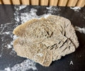 Elephant Ear Selenite