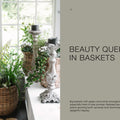 The Potted Garden | All Year Round