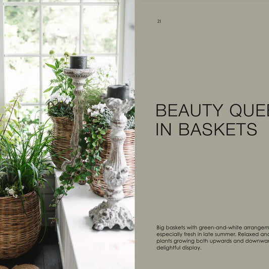 The Potted Garden | All Year Round