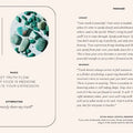 Crystals | The Oracle Deck