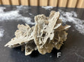 Elephant Ear Selenite
