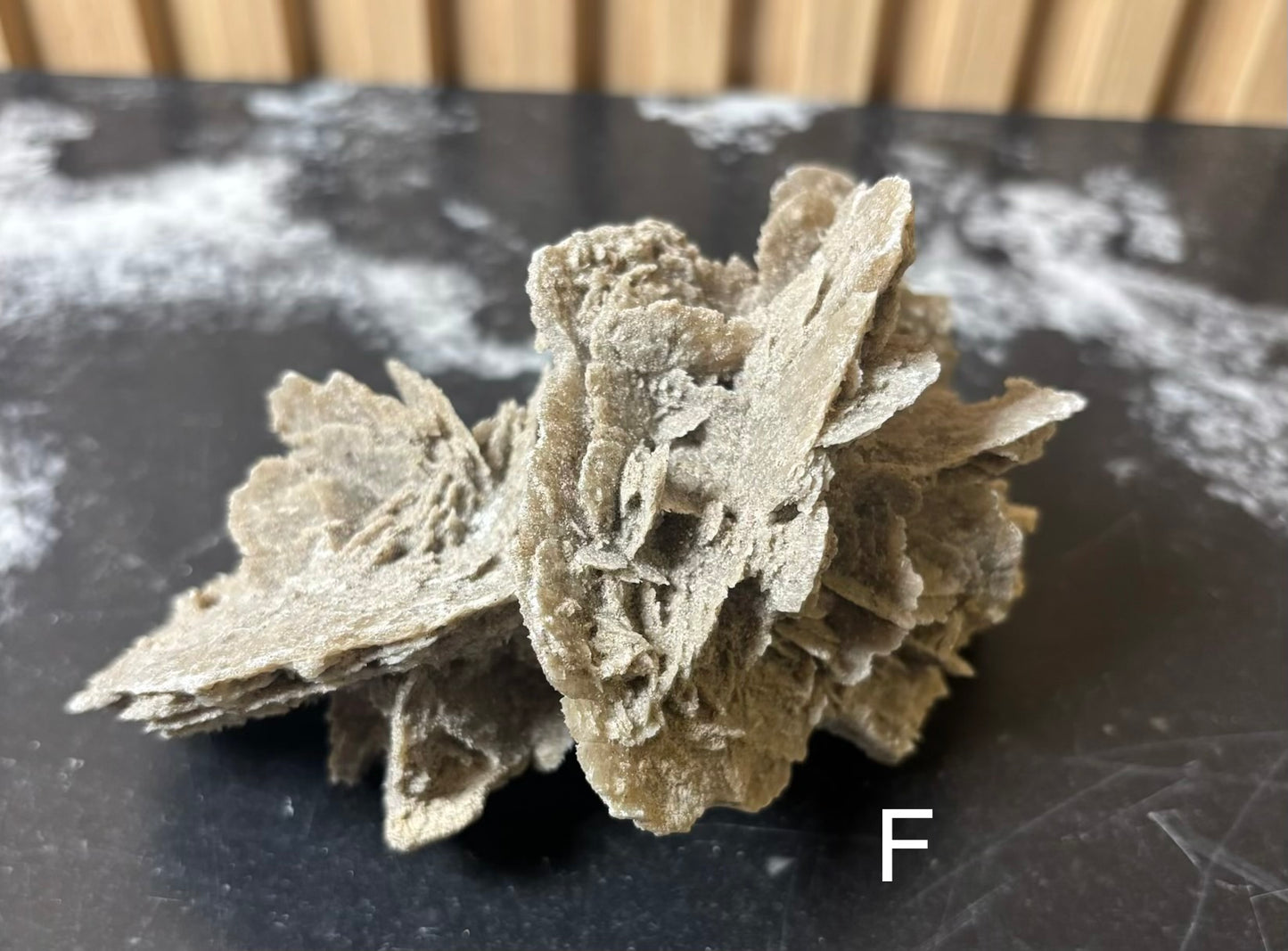 Elephant Ear Selenite