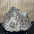 Albite with Mica Inclusions