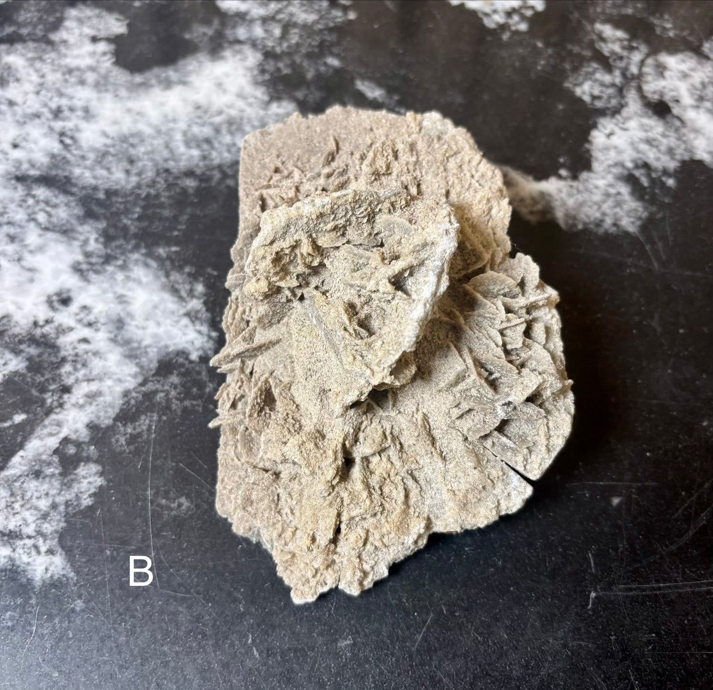 Elephant Ear Selenite