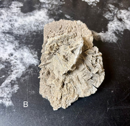 Elephant Ear Selenite