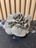 Elephant Ear Selenite