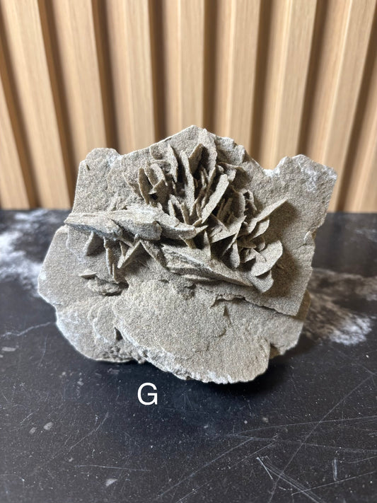Elephant Ear Selenite