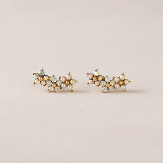 Floral Climber | Studs