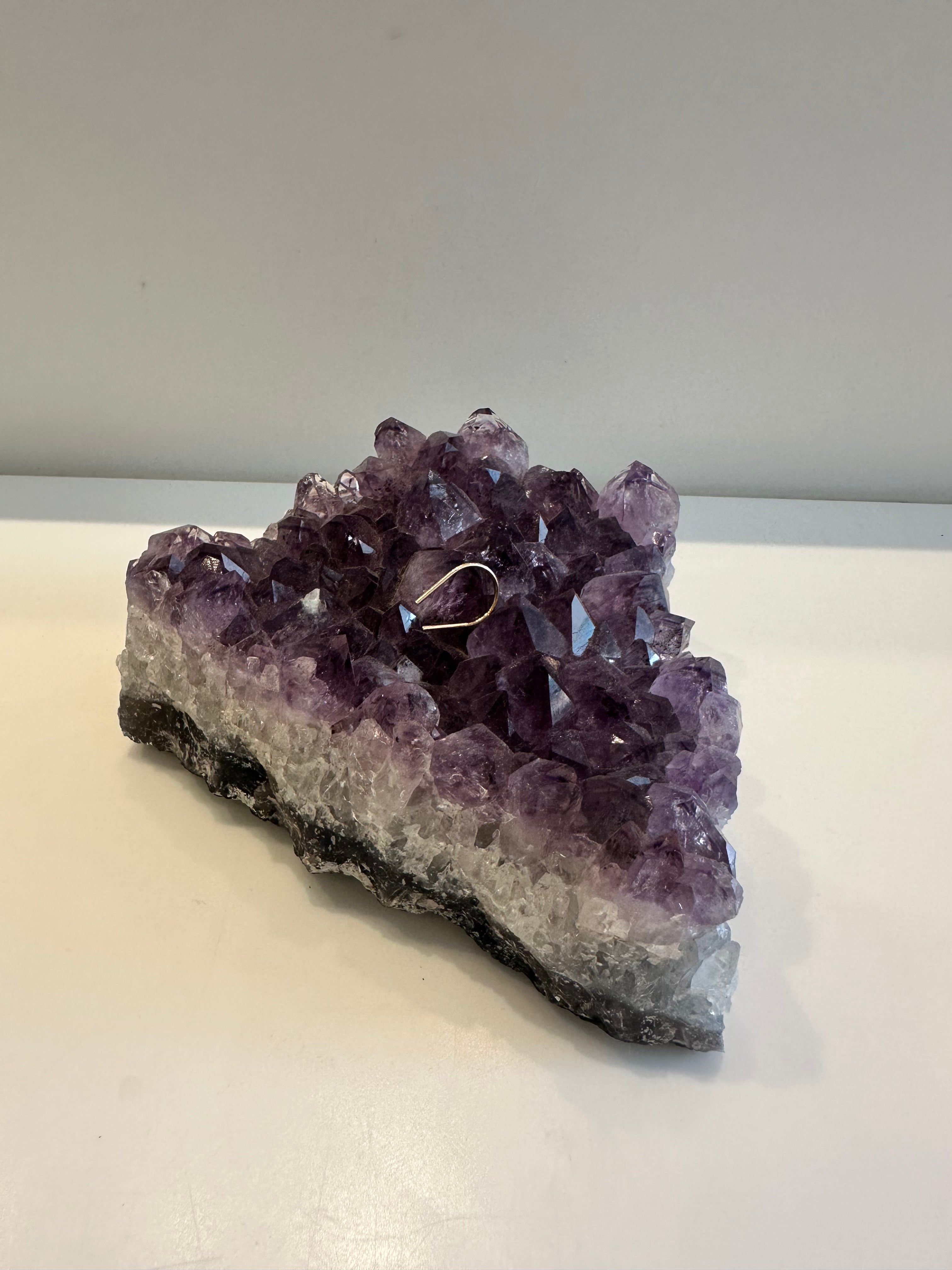 Horseshoe Single Earring