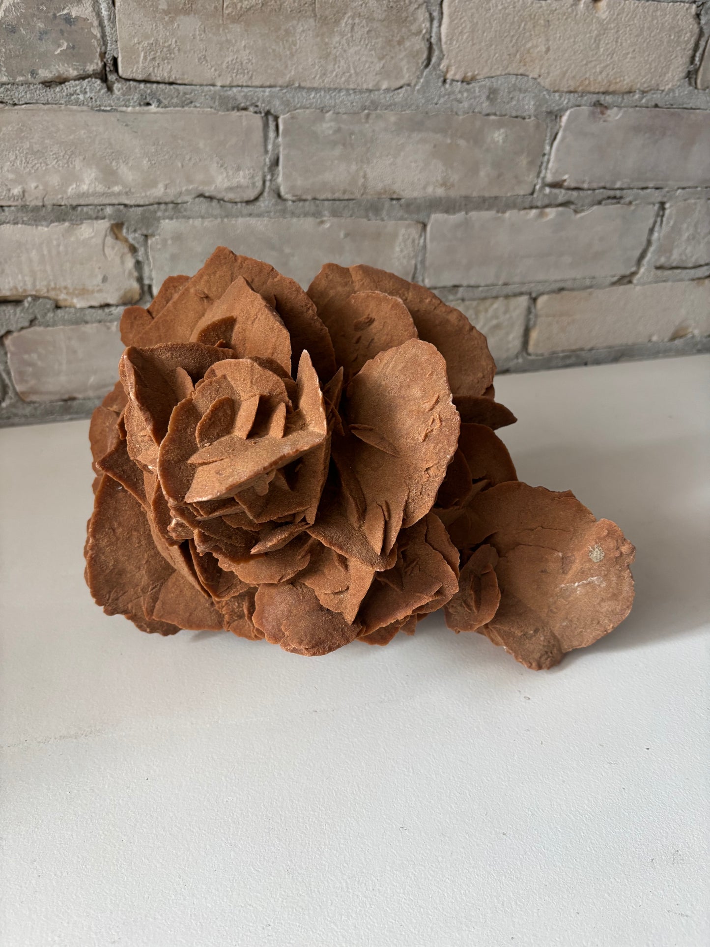 Moroccan Desert Rose