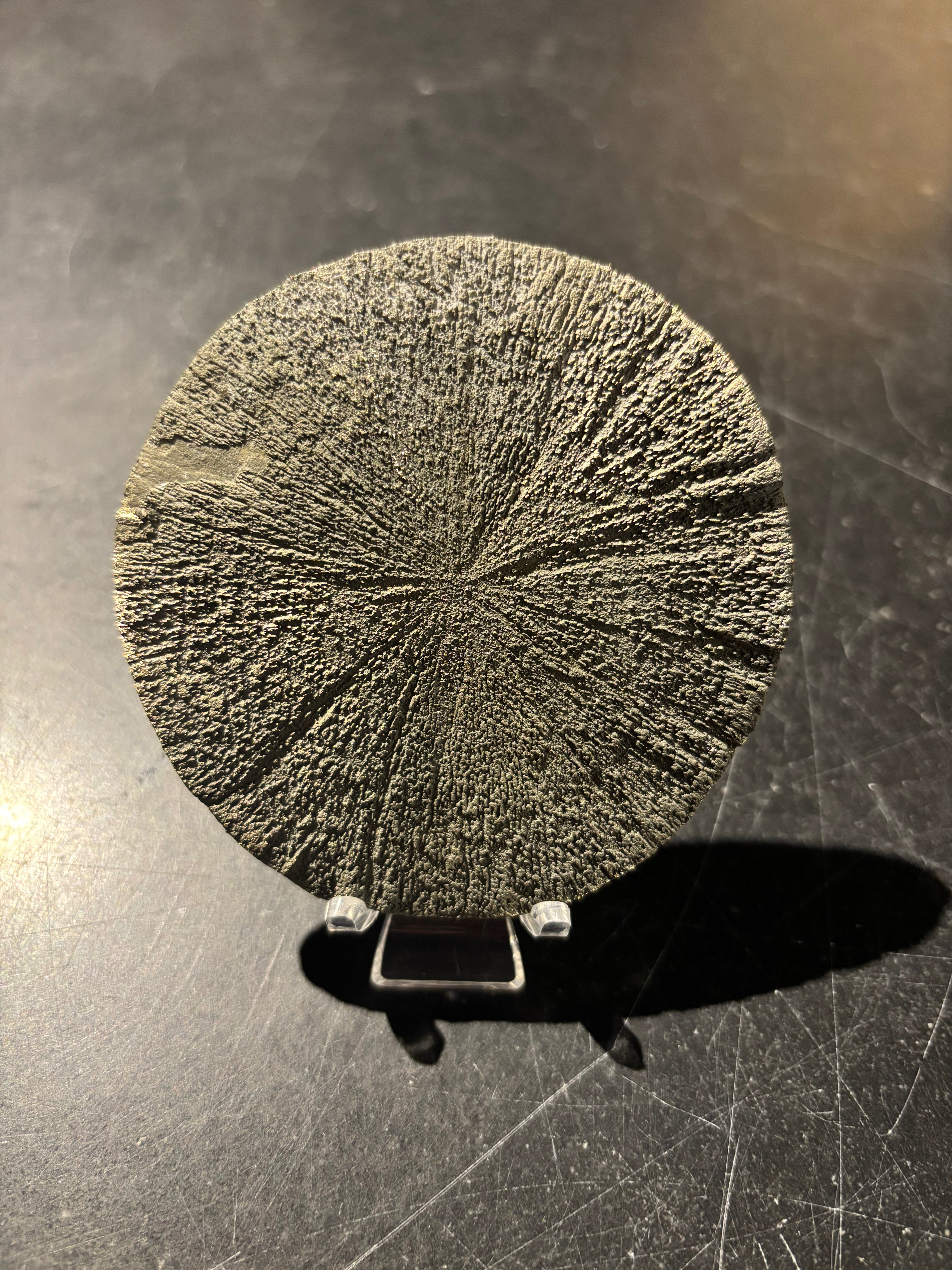 Pyrite Sun | 350 Million Years Old