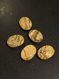 Picture Jasper Worry Stone