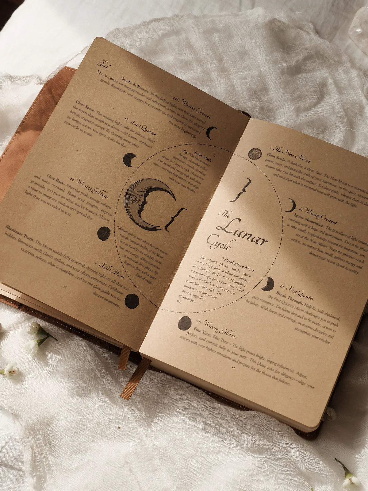 2026 Celestial Journal