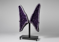 Amethyst Wings