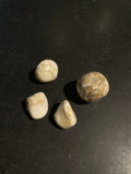 Orbicular Jasper | Tumbled