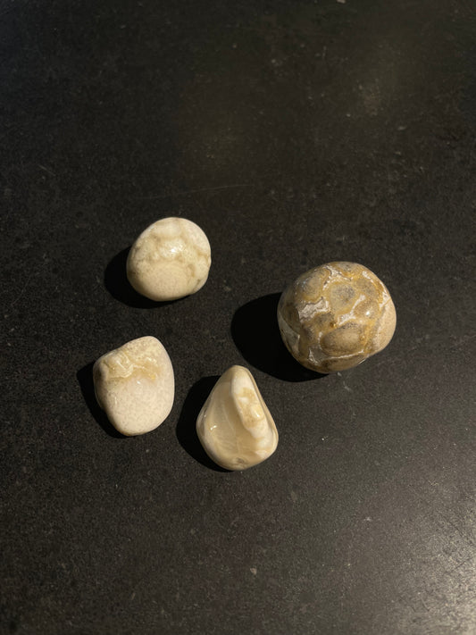 Orbicular Jasper | Tumbled