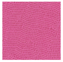 Tibby | Cotton Gauze Shorts