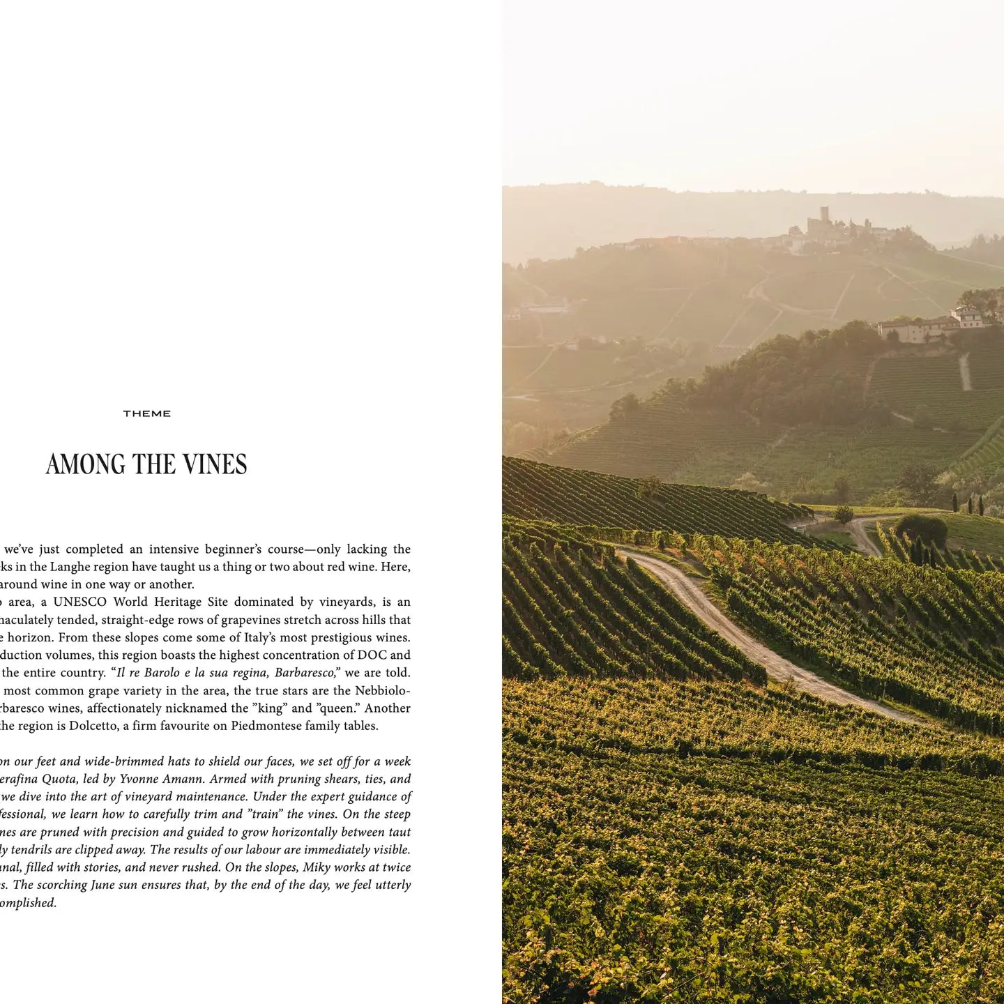 Travel Guide: Somewhere in Italy