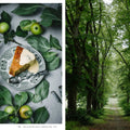 Nordic Summer Cookbook