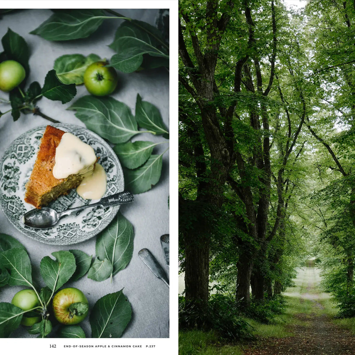 Nordic Summer Cookbook