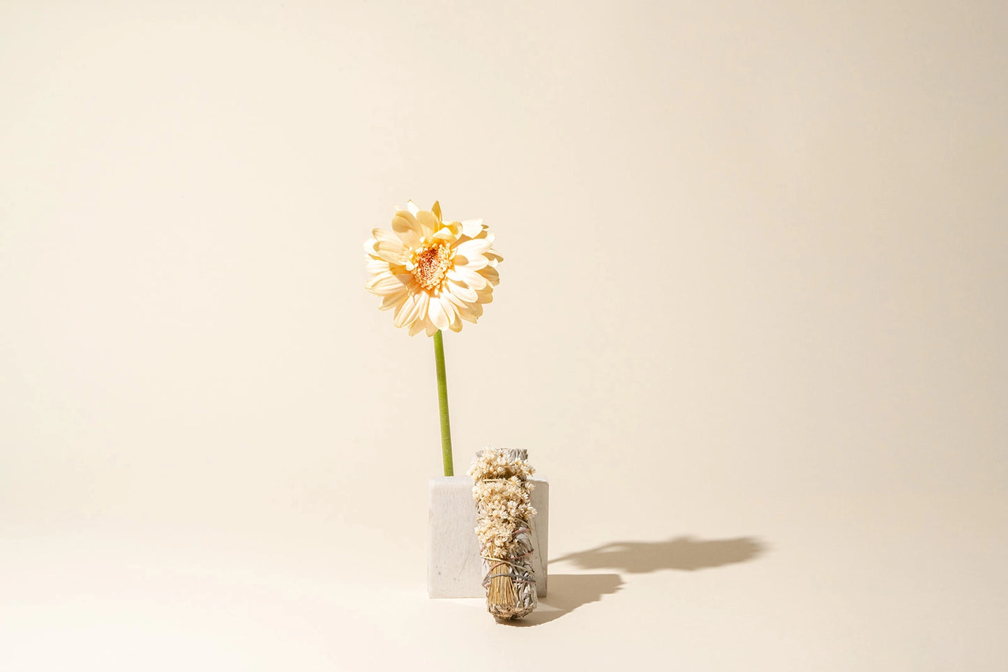 White Sage + Wild Star Flowers