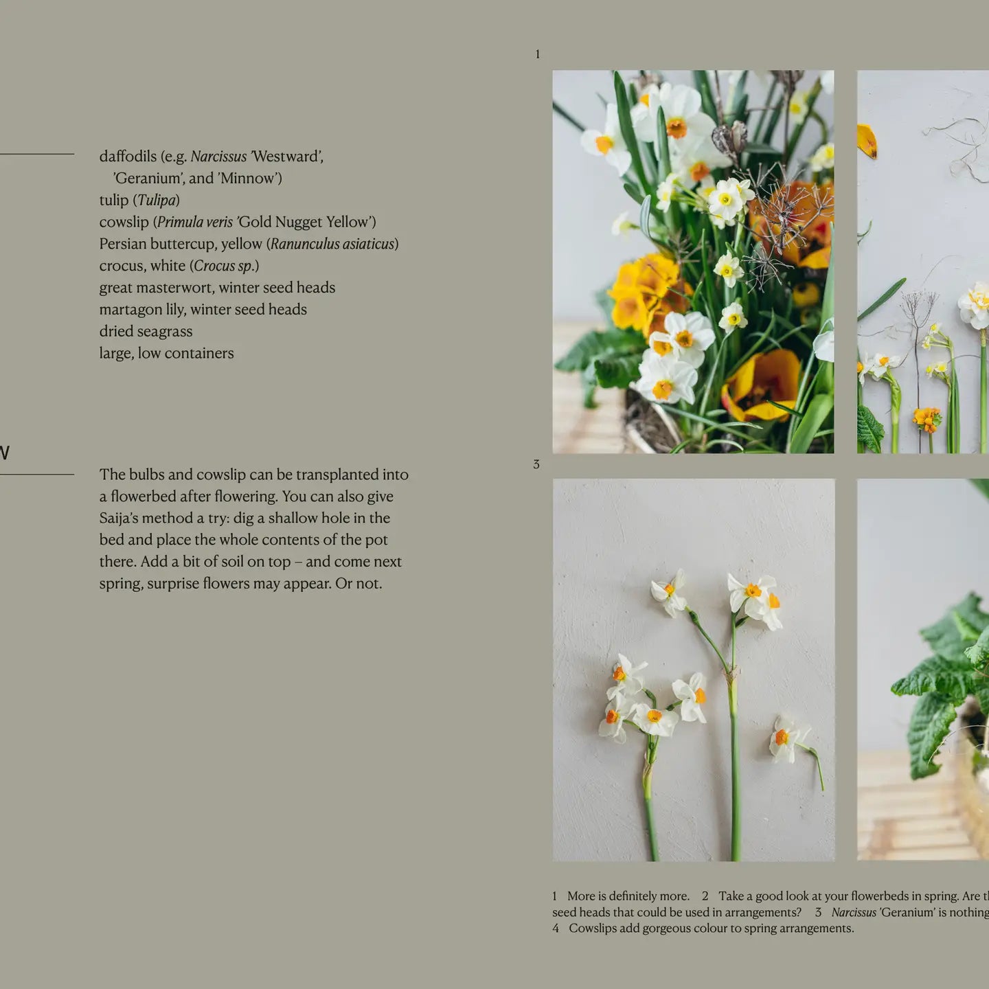 The Potted Garden | All Year Round