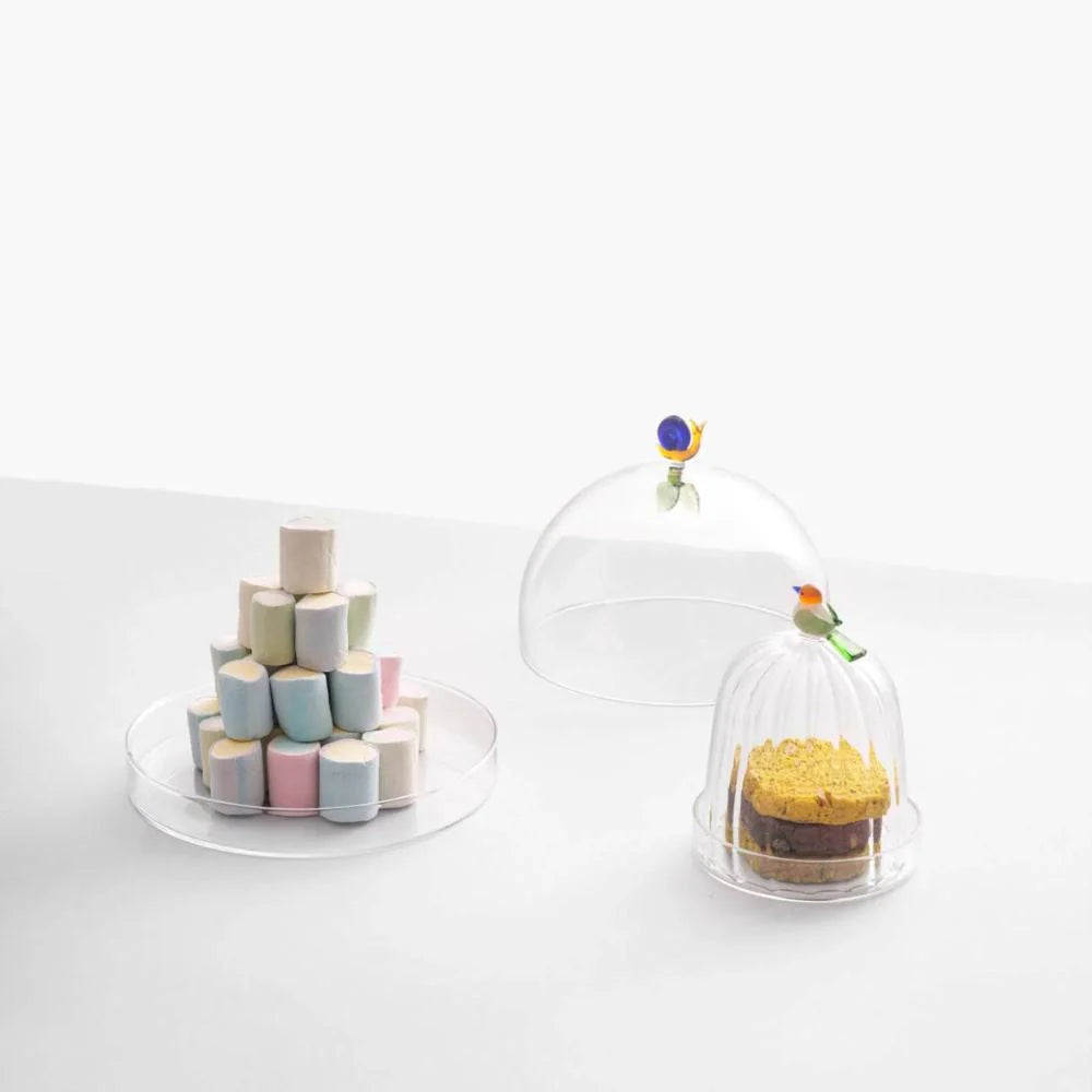 Animal Farm | Dome W/ Dish Snail + Leaf