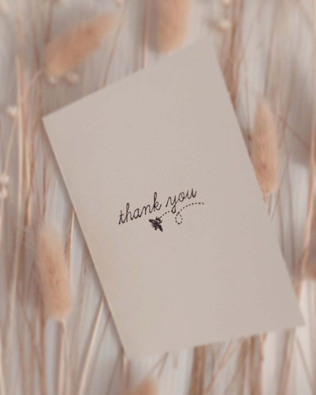 Greeting Cards | Standard