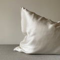 Mulberry Silk Pillow Case