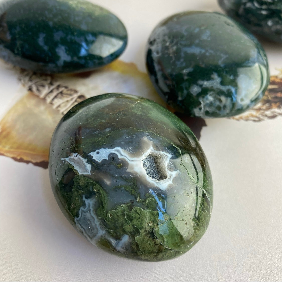 Moss Agate Palm Stone
