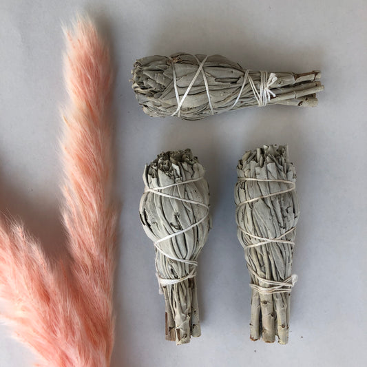 Wild White Sage Bundle