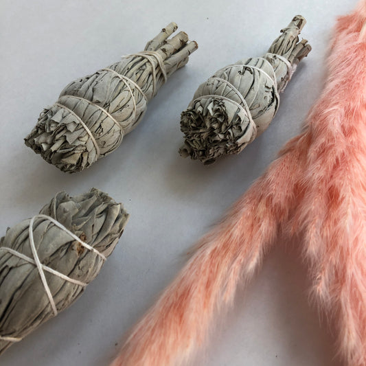 Wild White Sage Bundle