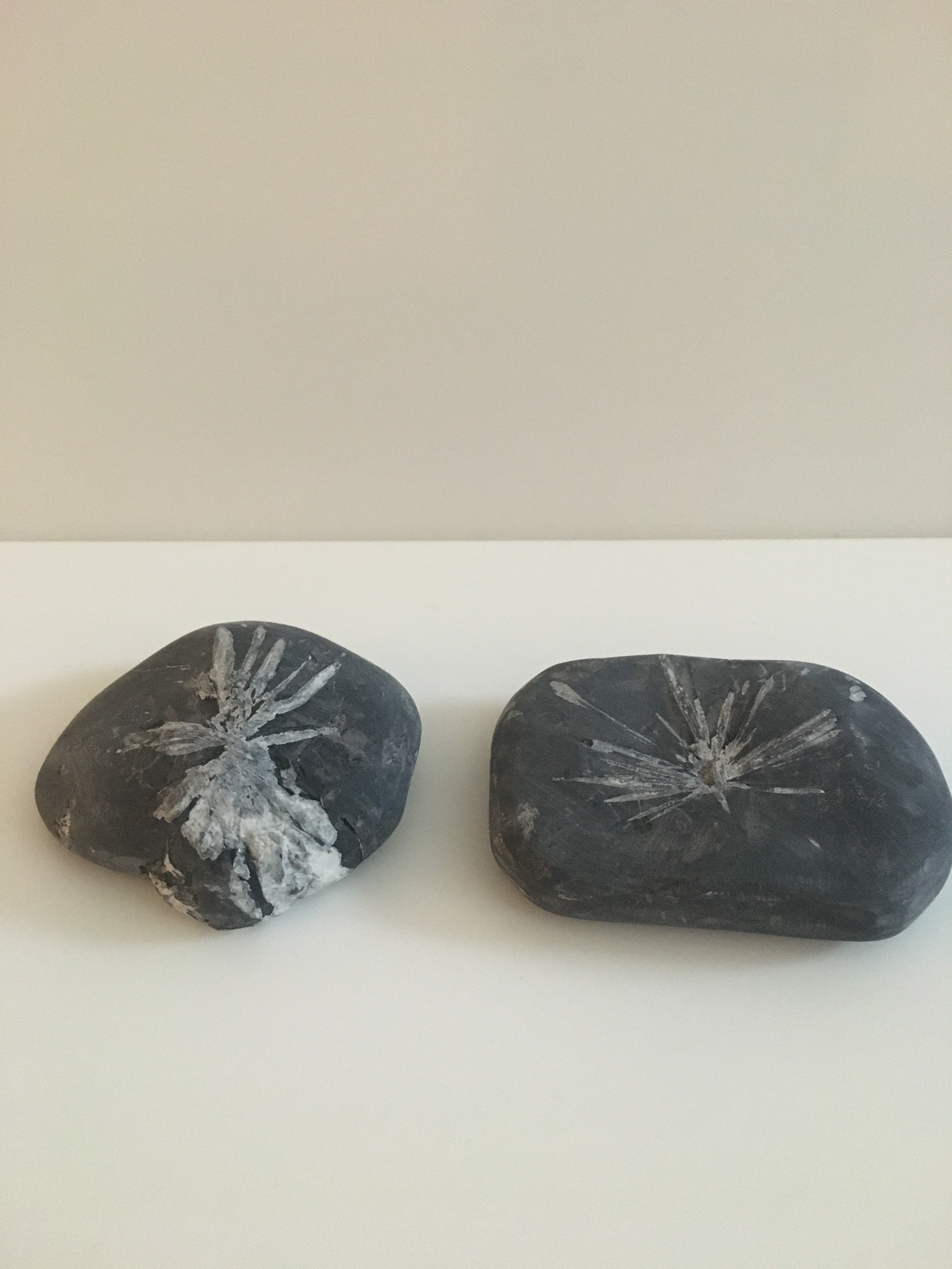 Chrysanthemum Stone