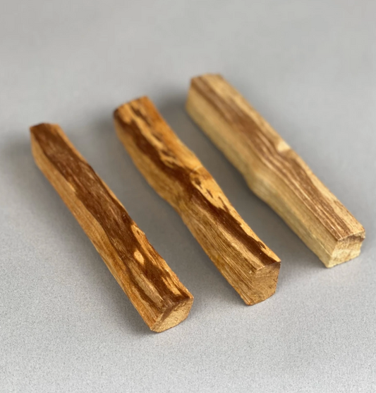 Large Palo Santo Stick - The 889 Shop