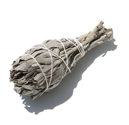 Wild White Sage - Smudge Bundle - The 889 Shop